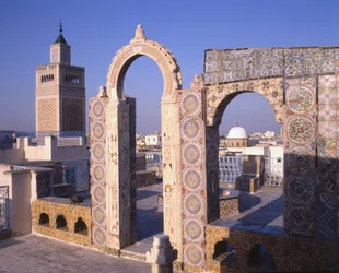 Veduta di Tunisi dal Palais d